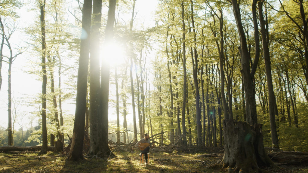 Waldsession
